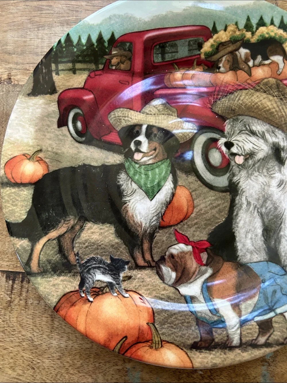 Seasonal Dog & Pumpkin 6 Decorative Plate - Red Truck Design. Great for fall.